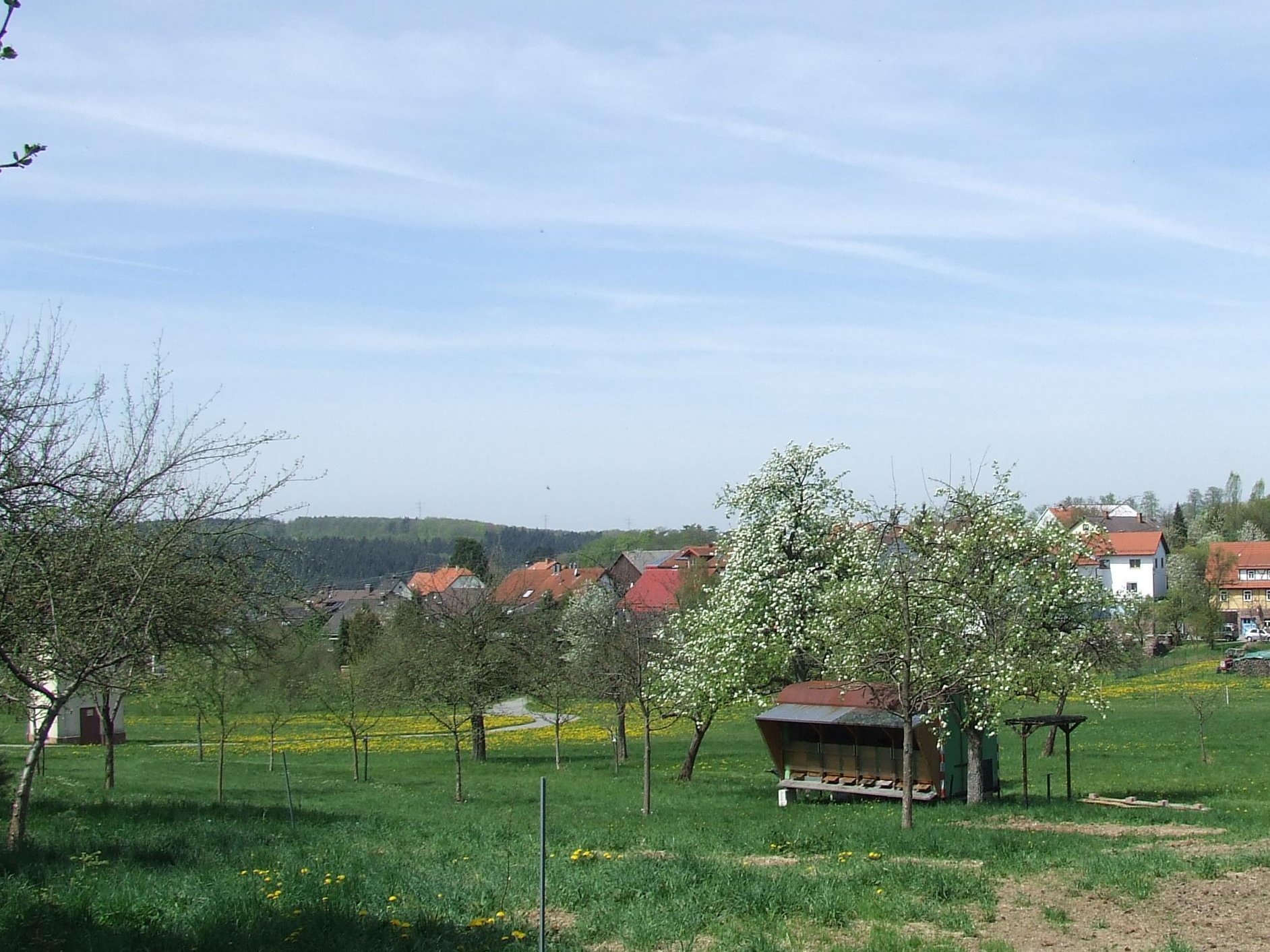 Wiesental in Oberdielbach