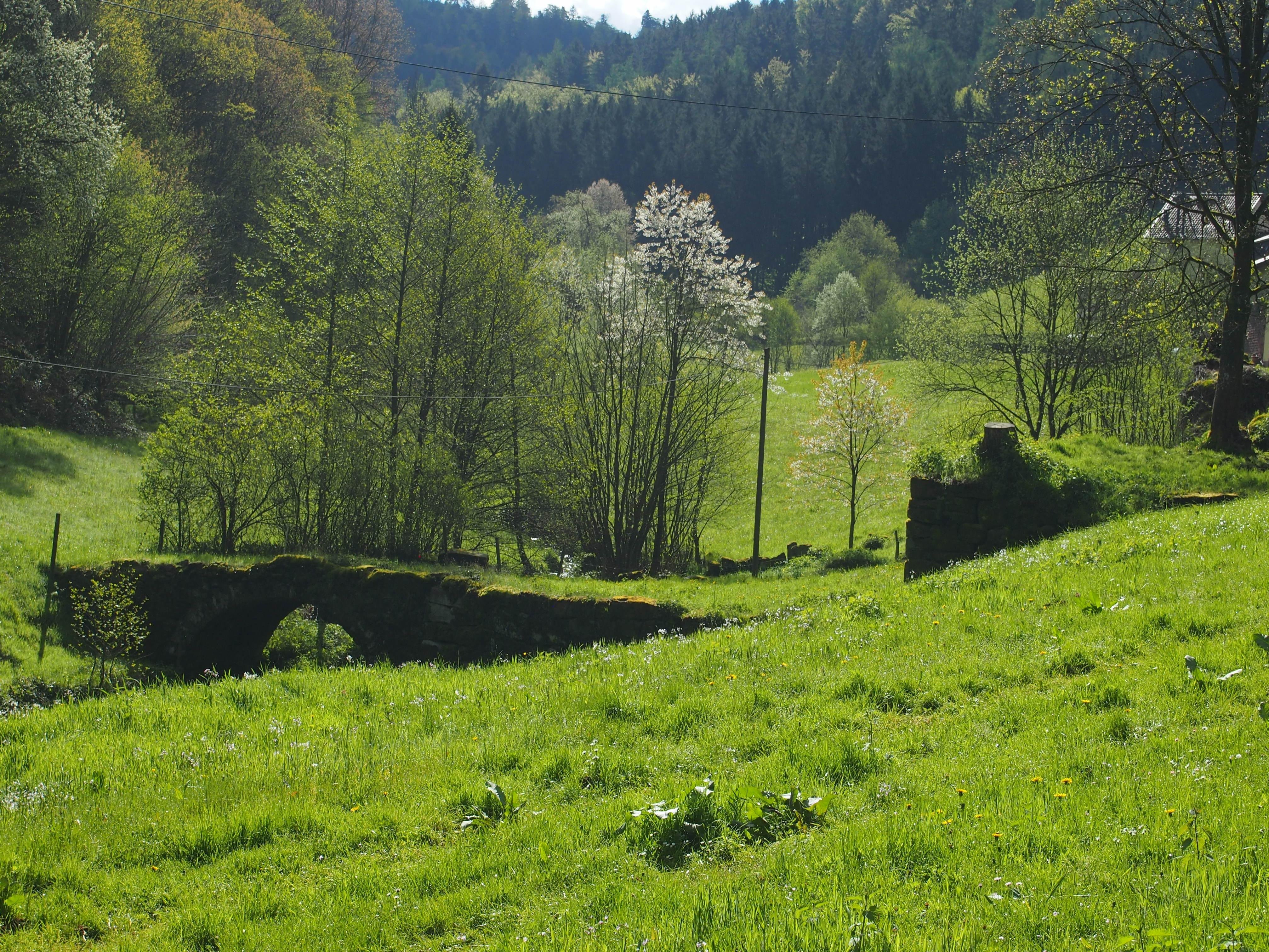 Brücke über den Höllbach im Höllgrund