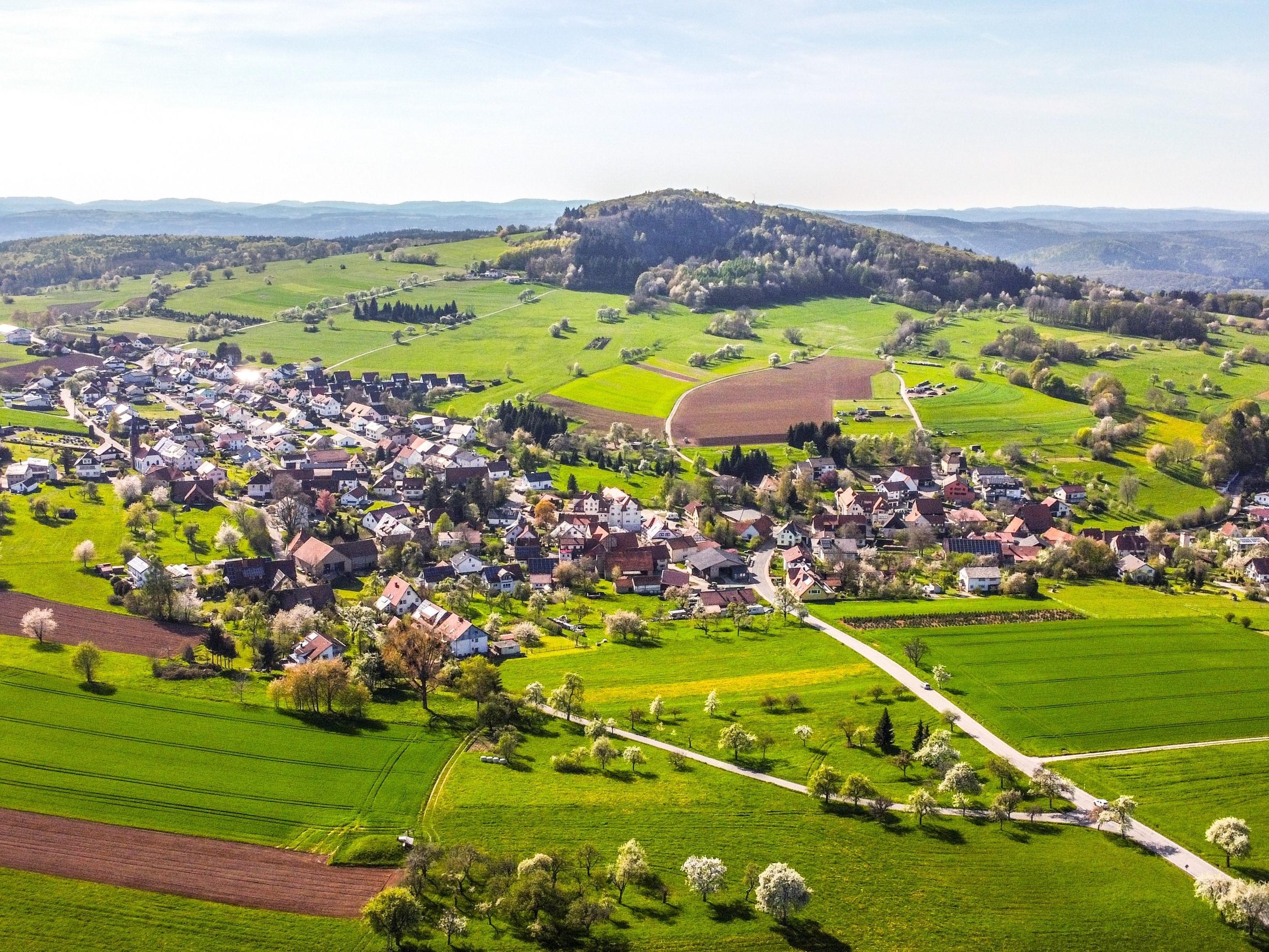 Waldkatzenbach am Katzenbuckel
